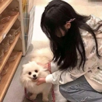 新澳门六开彩资料大全